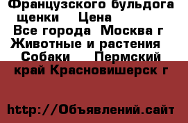 Французского бульдога щенки  › Цена ­ 35 000 - Все города, Москва г. Животные и растения » Собаки   . Пермский край,Красновишерск г.